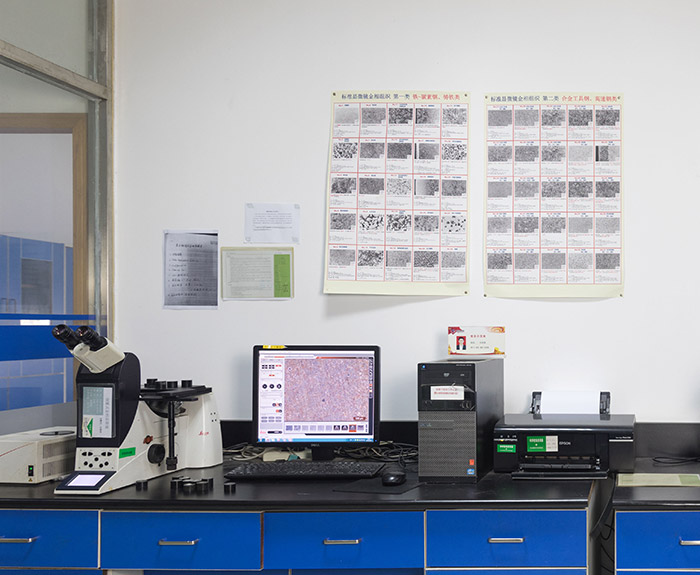 金相分析-晶間腐蝕試驗(yàn) 金相分析-晶間腐蝕試驗(yàn)